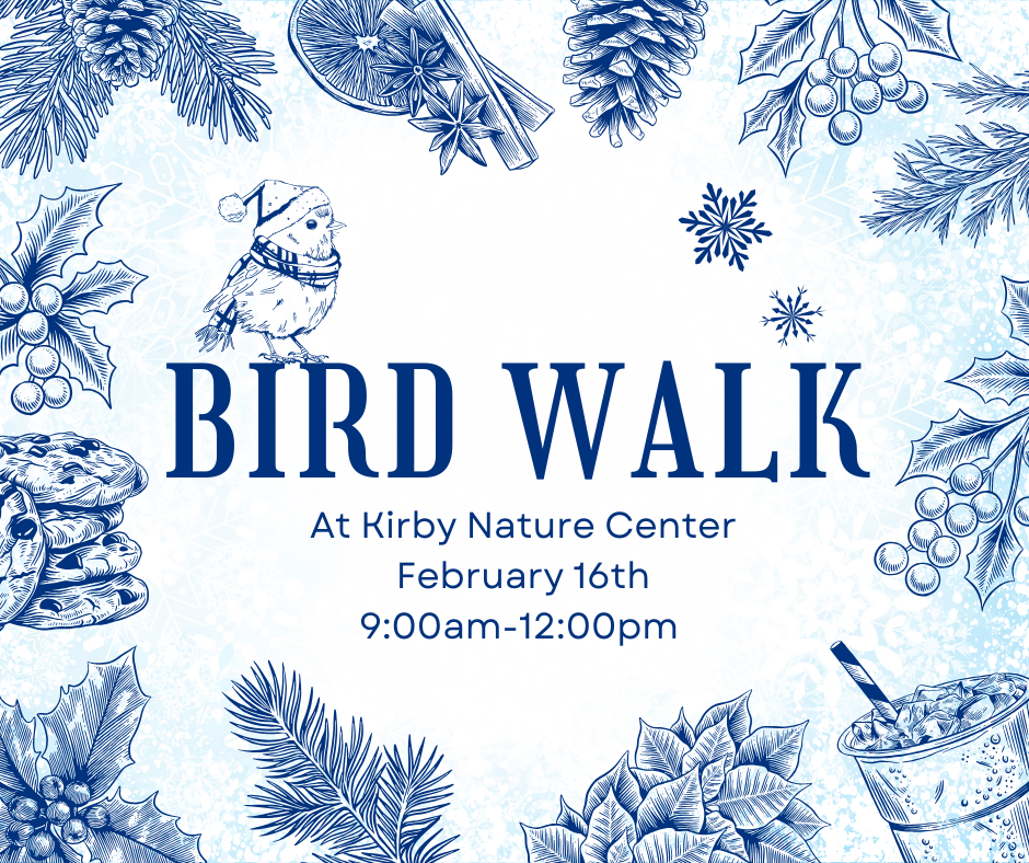 Bird Walk with Kathi Hutton