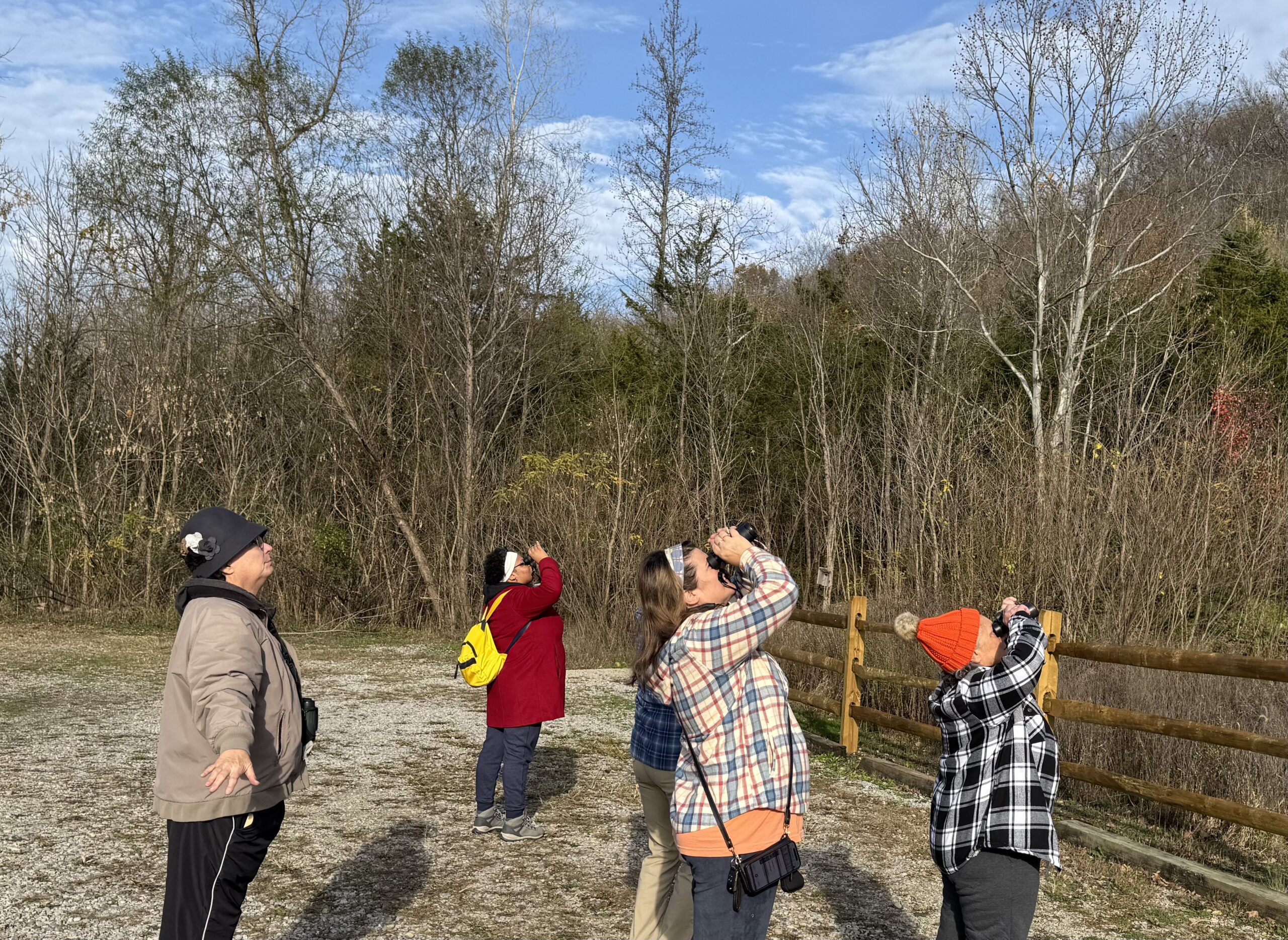 Bird Walk with Kathi Hutton