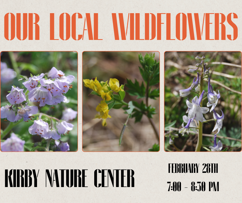 Our Local Wildflowers with Meg Riestenberg