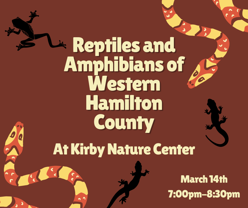 Reptiles and Amphibians of Western Hamilton County