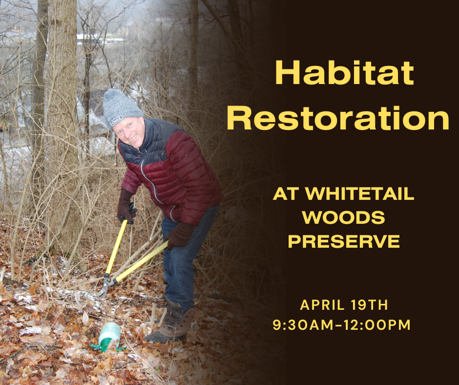 Habitat Restoration at Whitetail Woods