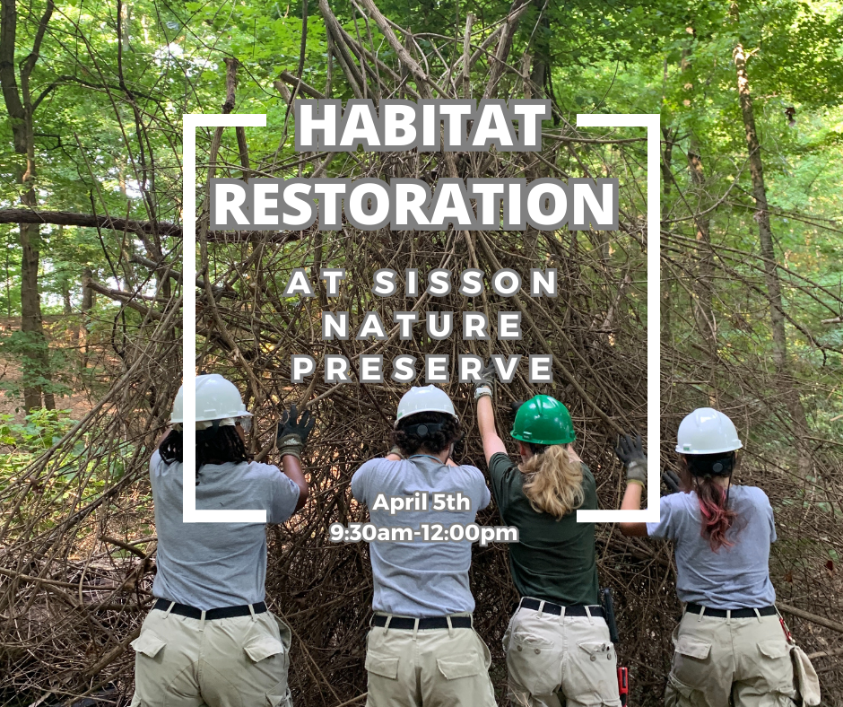 Habitat Restoration at Sisson Nature Preserve