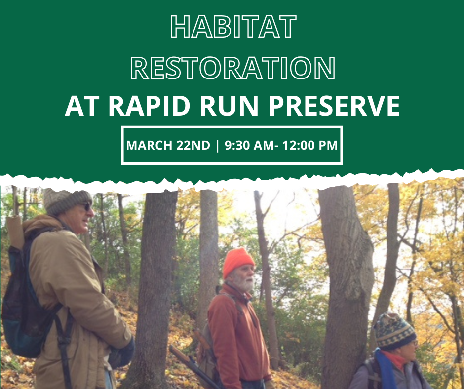 Habitat Restoration at Rapid Run