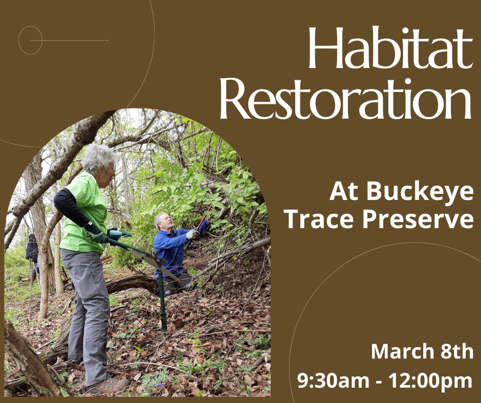 Habitat Restoration at Buckeye Trace