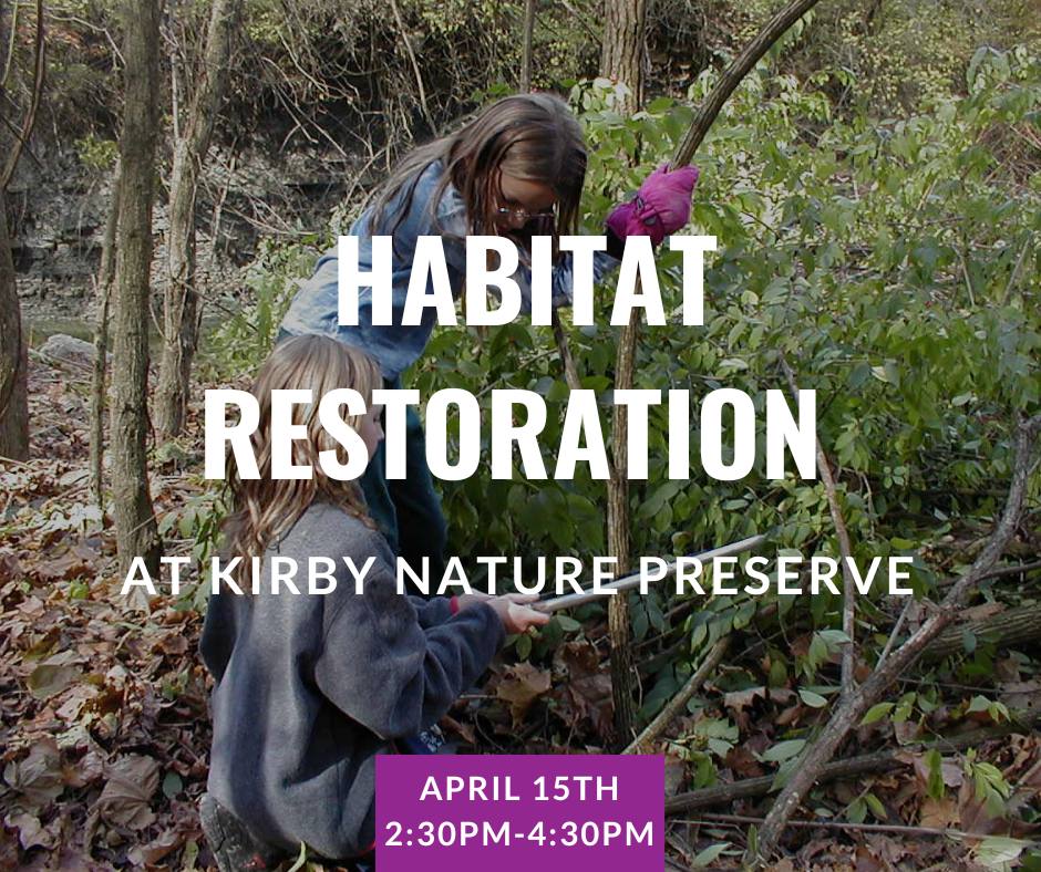 Habitat Restoration at Kirby Nature Preserve