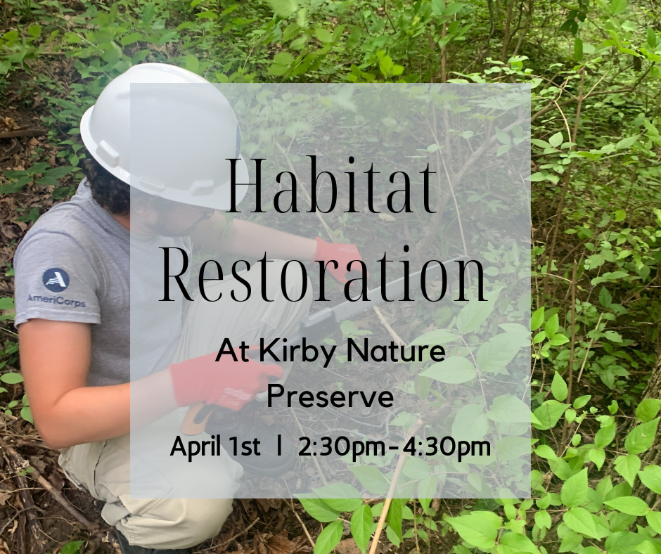 Habitat Restoration at Kirby Nature Preserve