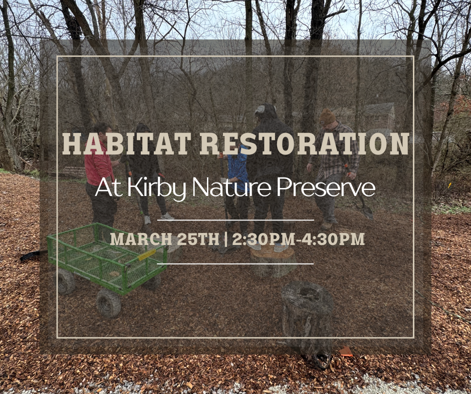 Habitat Restoration at Kirby Nature Preserve