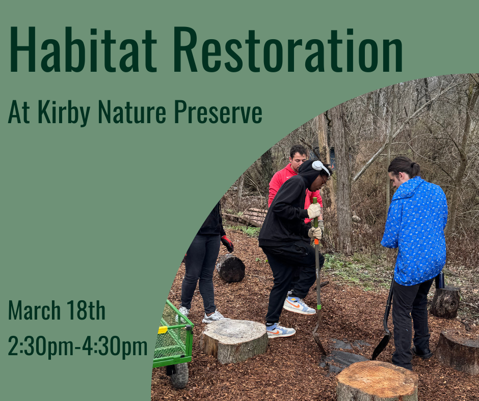 Habitat Restoration at Kirby Nature Preserve